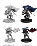 Pathfinder: Deep Cuts - Elf Female Paladin