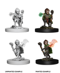 Pathfinder: Deep Cuts - Gnome Male Druid