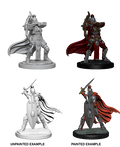 Pathfinder: Deep Cuts - Female Knights / Gray Maidens