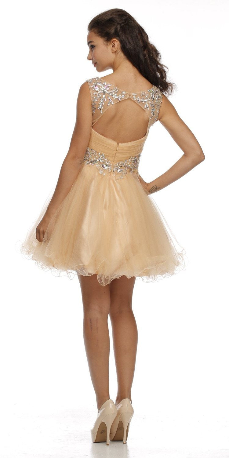 Gold cap sleeve baby doll dress with embellished bodice and open back tulle skirt