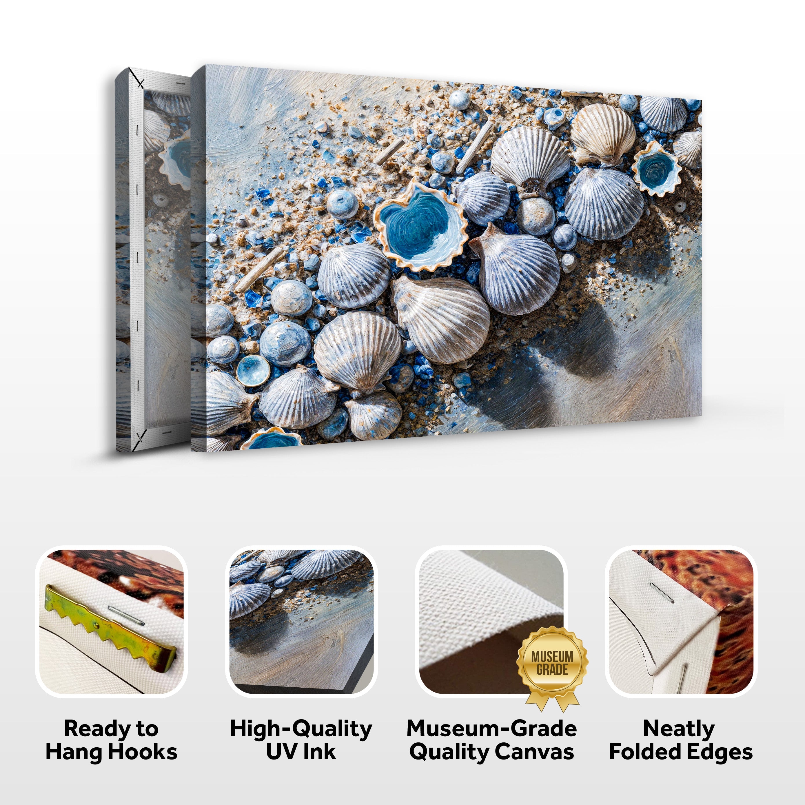 Sea Shells Modern Coastal Wall Art II