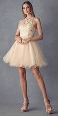 Champagne halter neck short party dress with lace bodice and tulle skirt