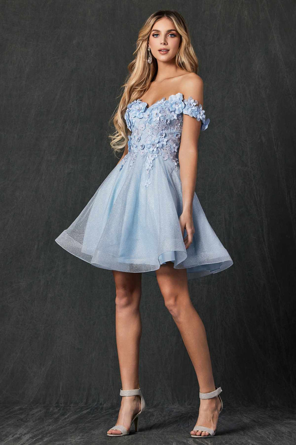 Light blue floral appliqué tulle A-line short dress, full front view