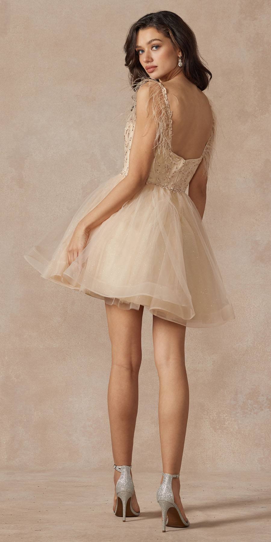 Champagne short A-line tulle dress with lace sheer bodice and feather straps
