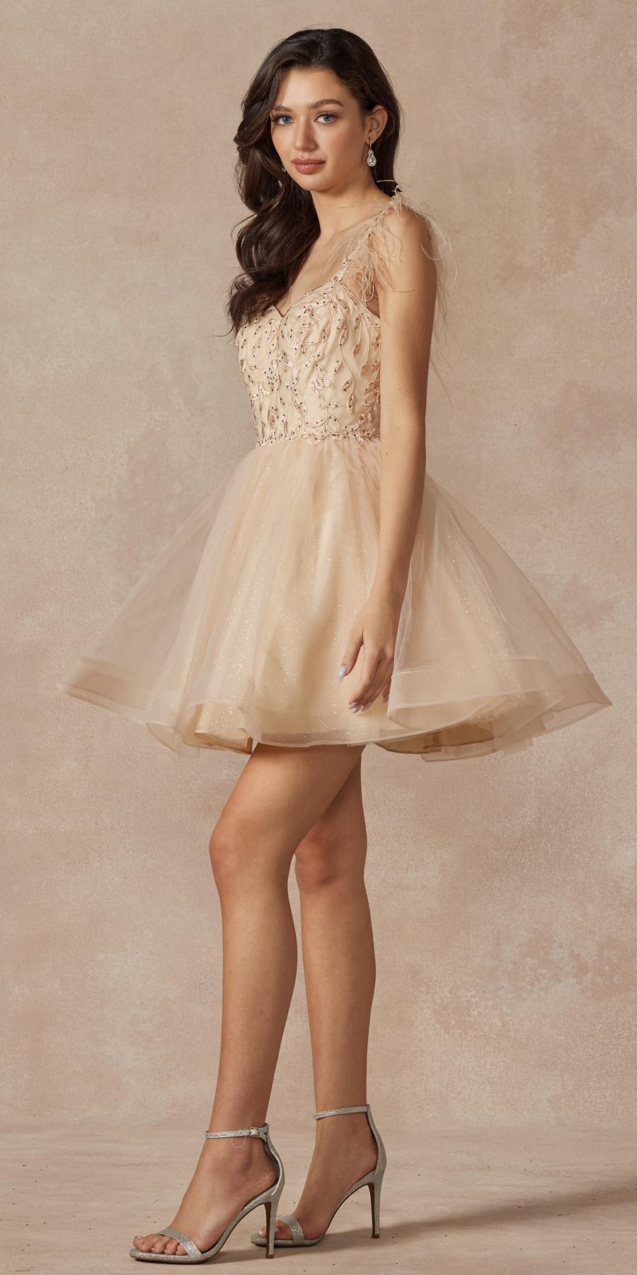 Champagne short A-line tulle dress with embroidered sheer bodice and feather straps