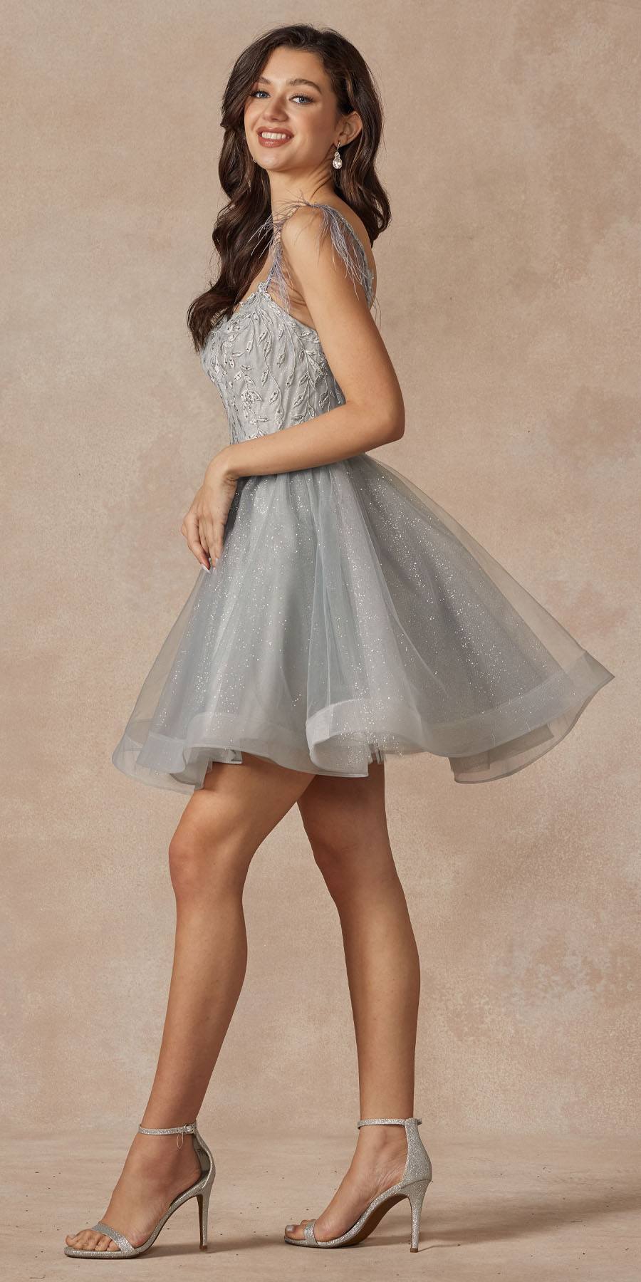 Champagne short A-line tulle dress with embroidered sheer bodice and feather straps