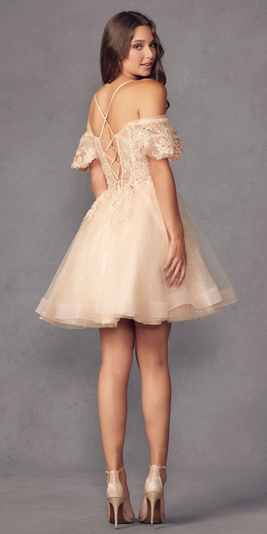Champagne off-shoulder A-line tulle mini dress with lace overlay and crisscross back