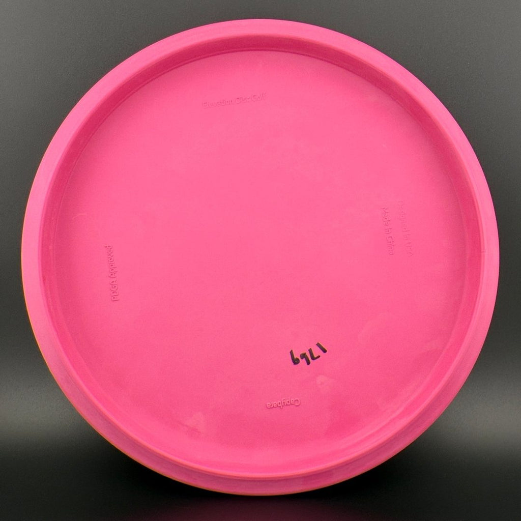 ecoFIRM Capybara - First Run