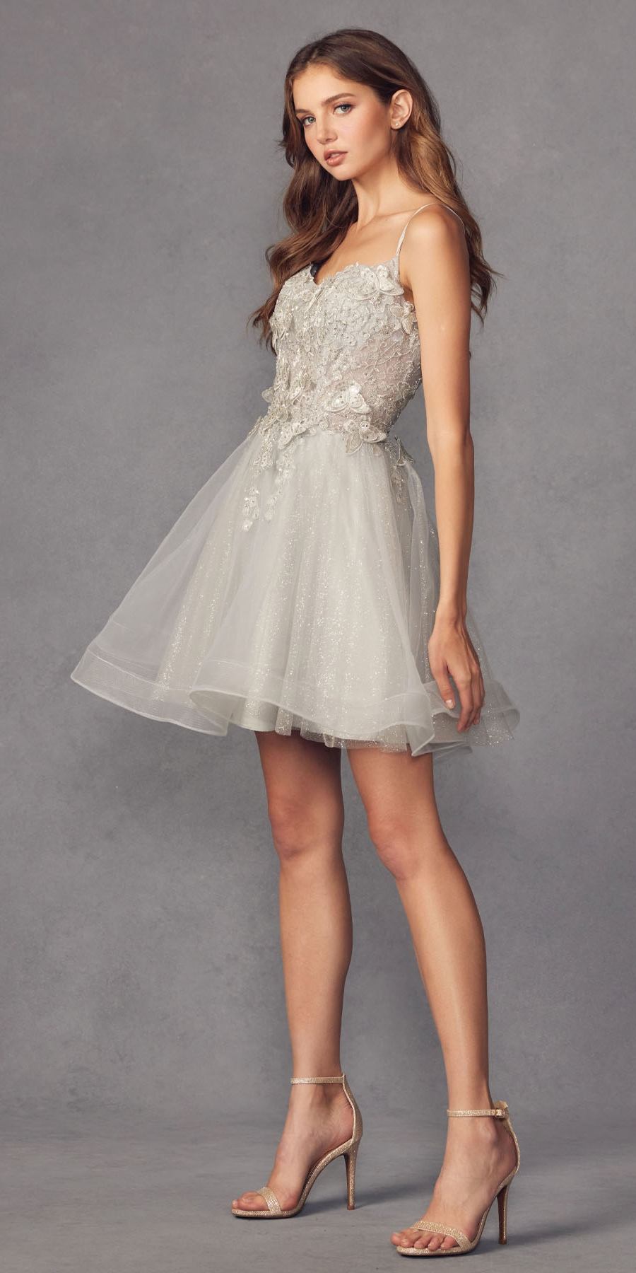 Silver short A-line tulle gown with embroidered bodice and layered tulle skirt