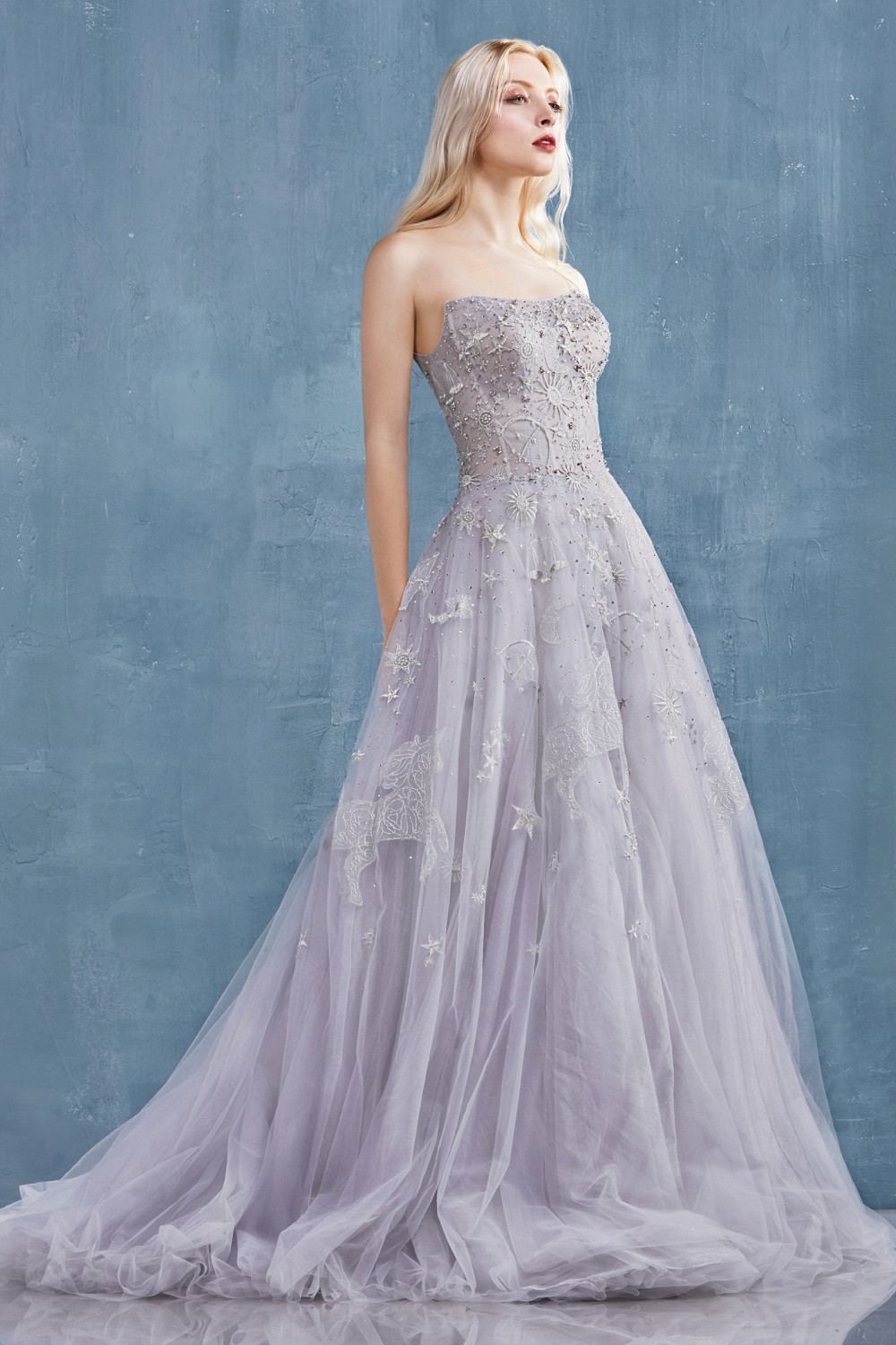 Strapless long tulle dress, light silver, fitted bodice and full starry skirt
