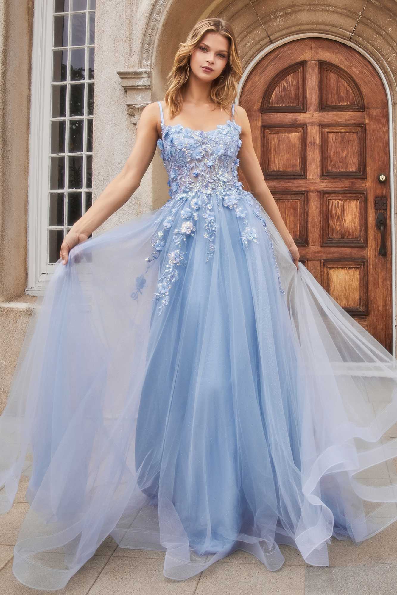 Light blue tulle A-line gown with floral appliqué corset-style bodice and flared skirt