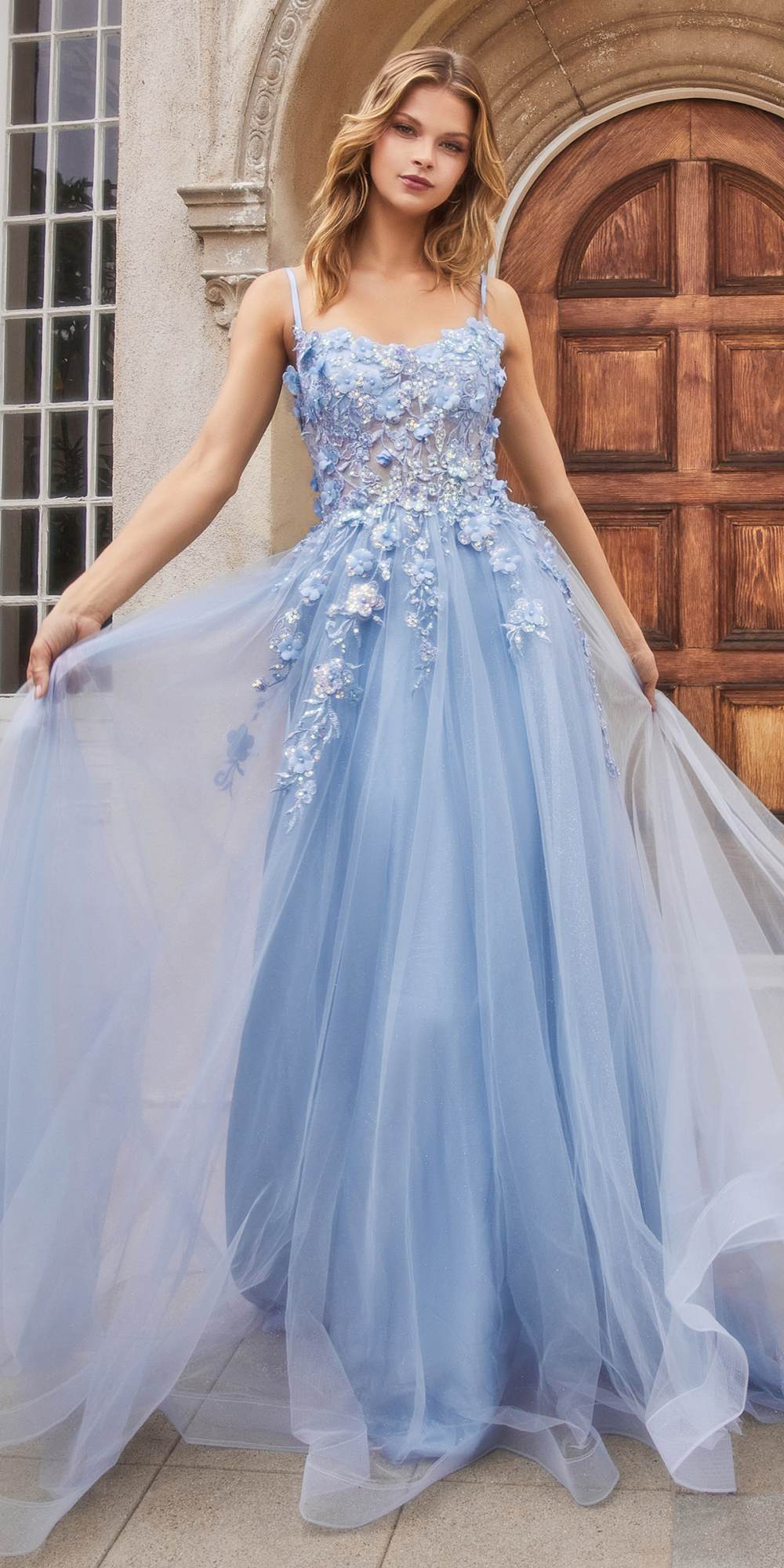 Light blue tulle A-line gown with floral appliqué bodice and full floor-length skirt