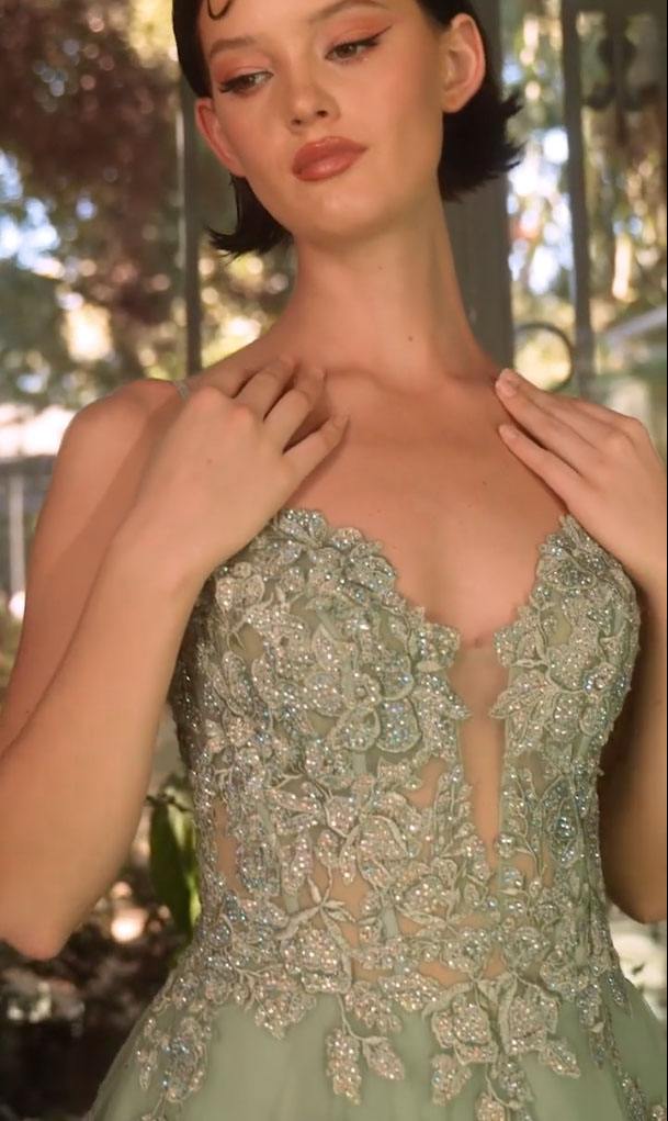 Sage green lace appliqued bodice with V-neck and intricate beadwork