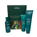 AVEDA botanical repair gift set with box and three hair-care bottles and tube