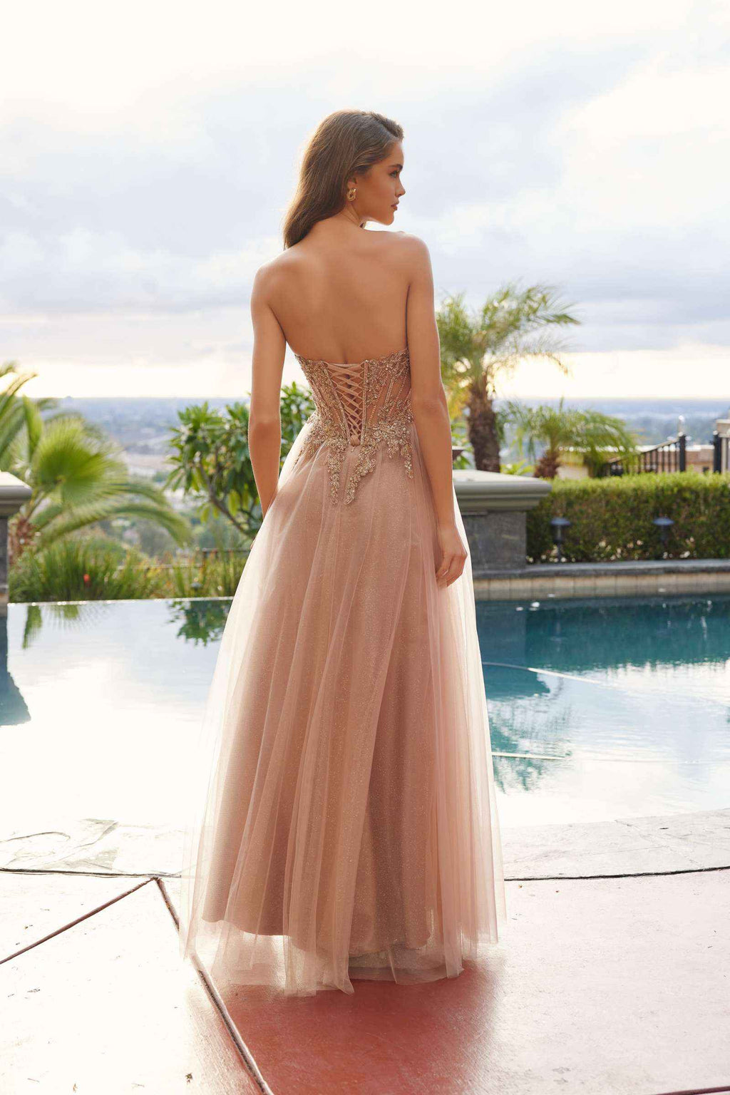 Rosegold mesh prom ball gown, A-line tulle skirt with back detail and open back