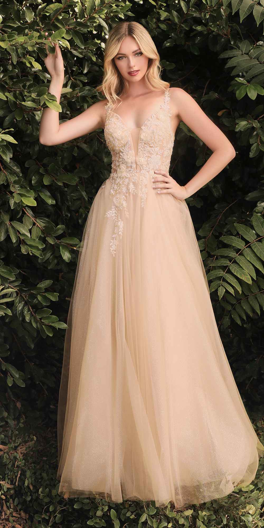 Champagne long A-line tulle gown with floral lace appliques, V-neck bodice.
