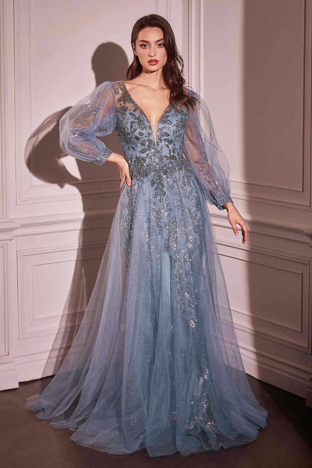 Light blue long sleeve A-line tulle gown with sequined bodice and sheer sleeves