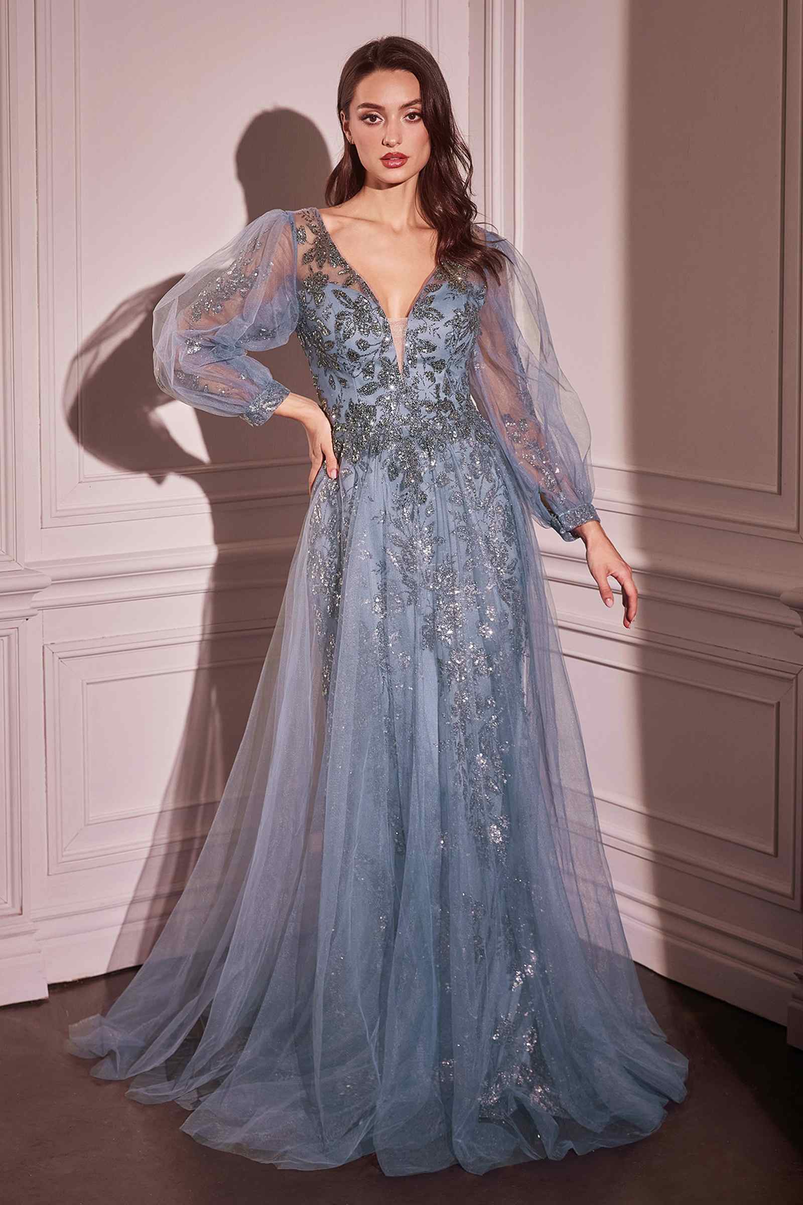 Light blue long sleeve A-line tulle gown with sequined bodice and sheer sleeves