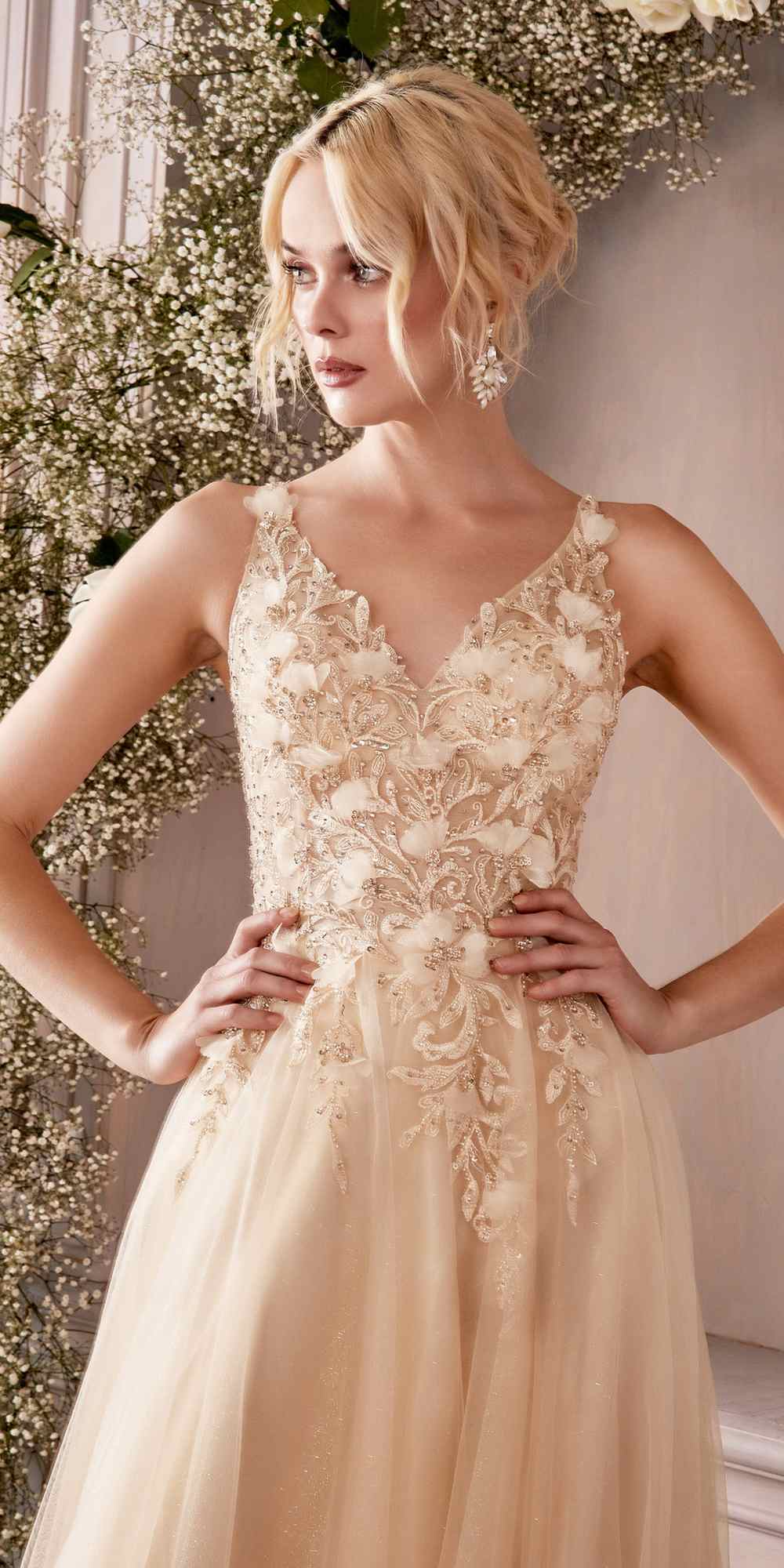 Champagne lace A-line tulle dress with V-neck bodice and floral lace detailing