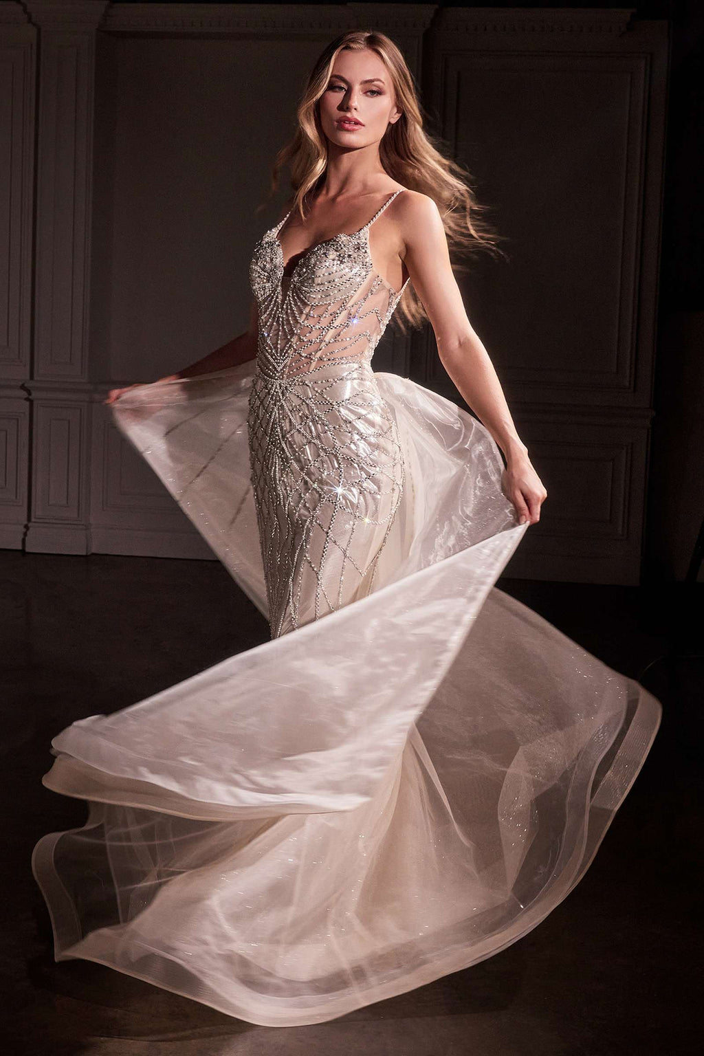 Platinum fit-and-flare gown with crystal embellishment and sheer overskirt