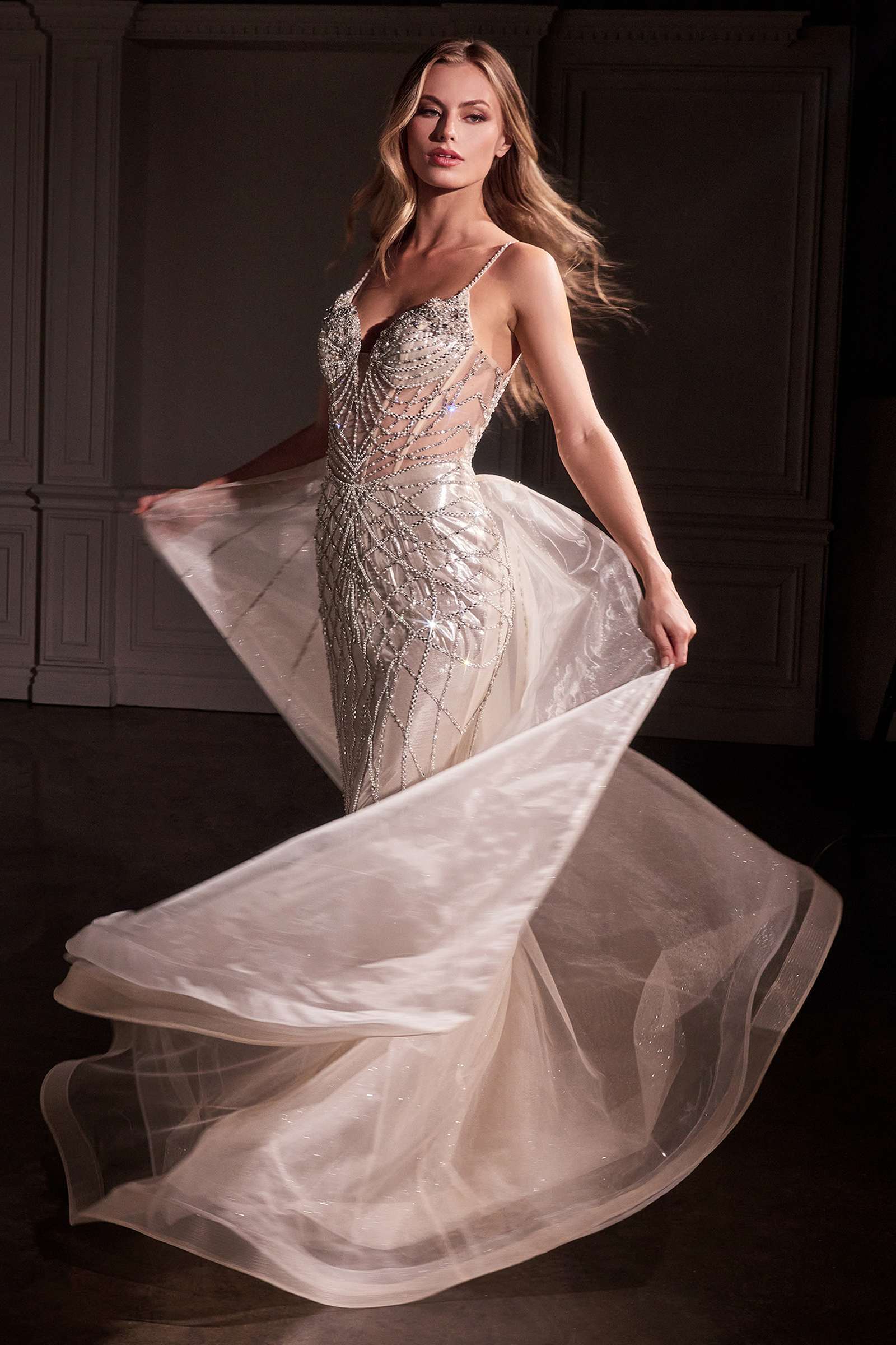 Platinum fit-and-flare gown with crystal embellishment and sheer overskirt