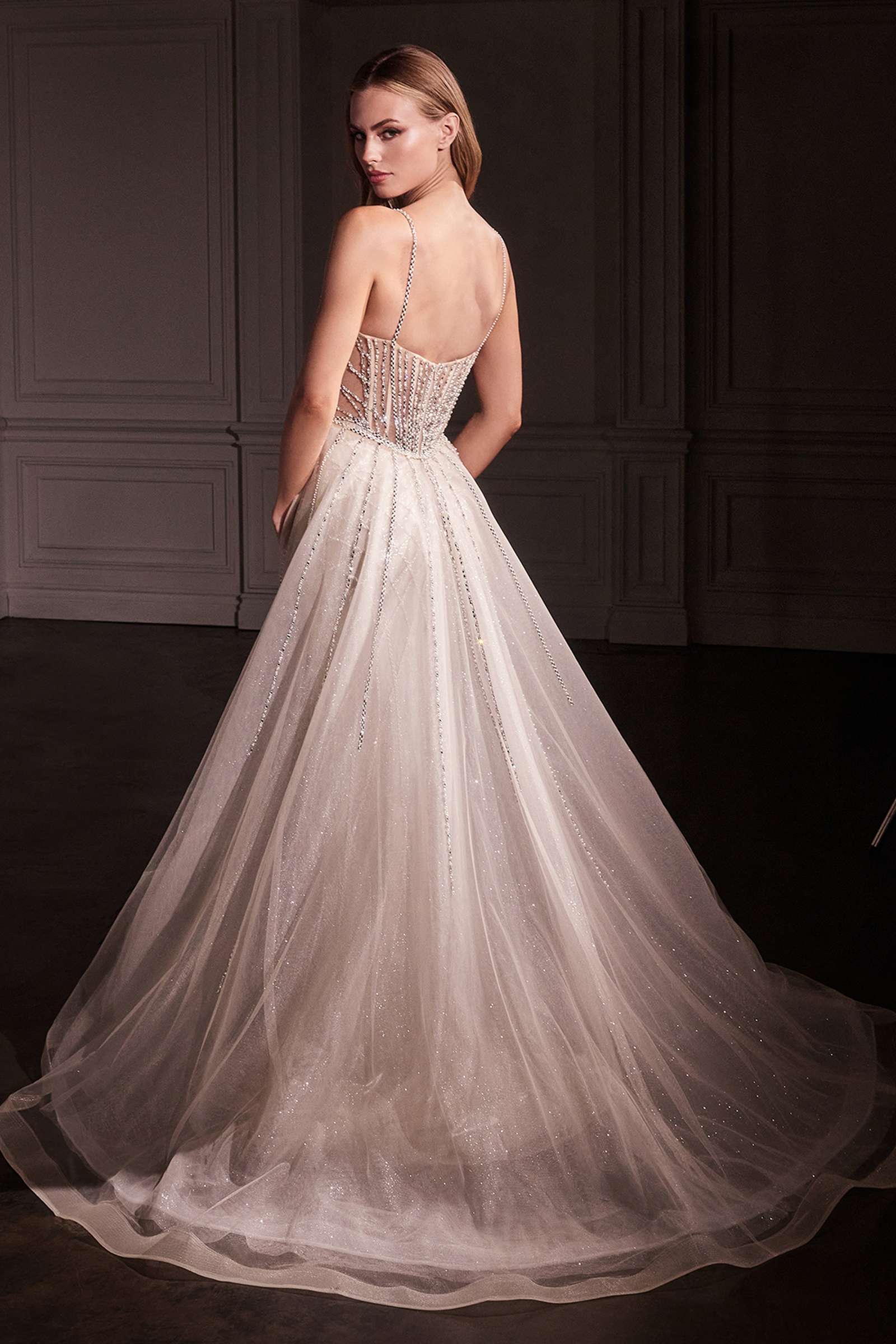 Platinum crystal-embellished backless fit-and-flare gown with sheer overskirt