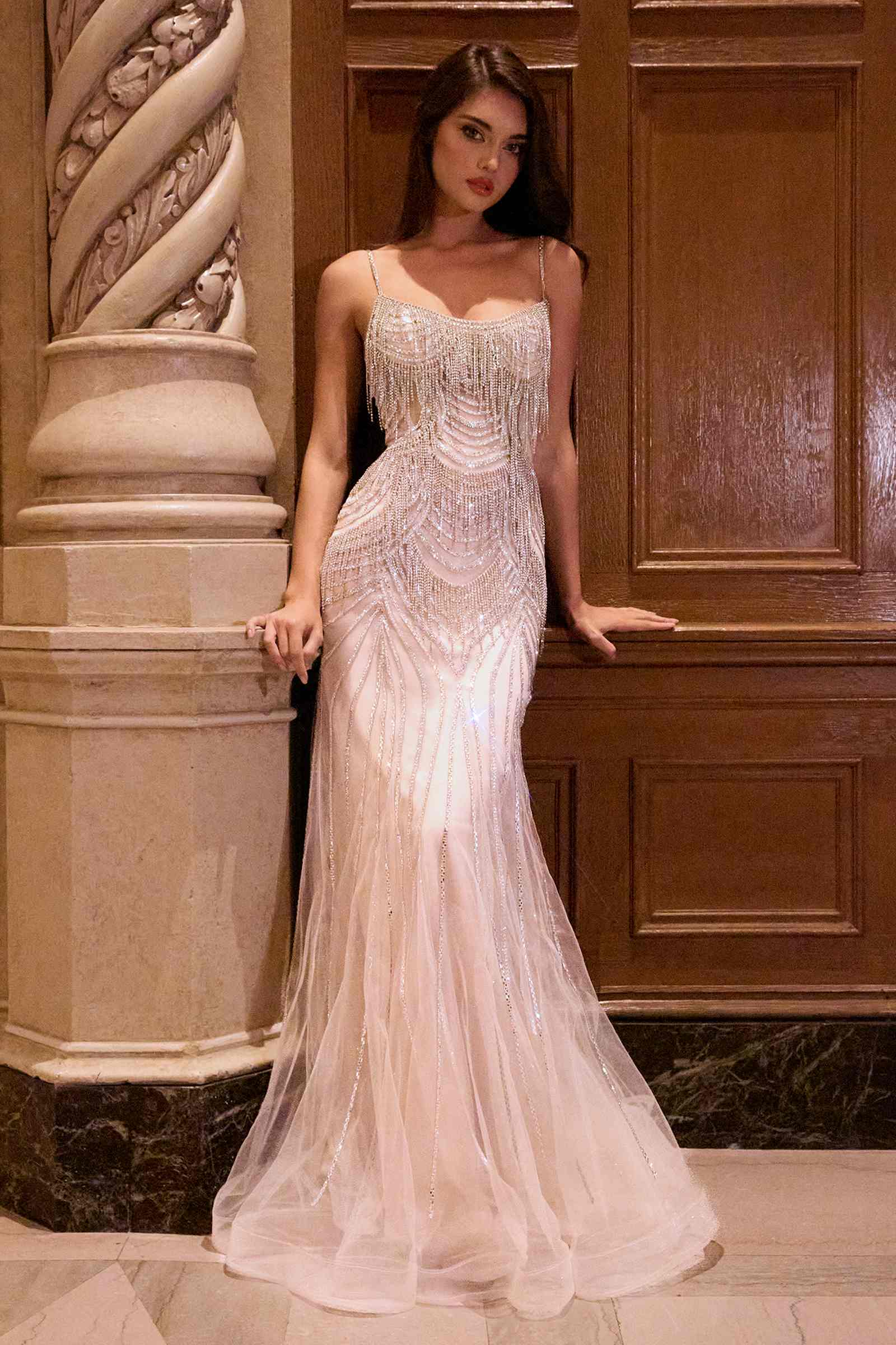 Nude-lined formal gown with silver fringe beading and fitted tulle overlay, full length