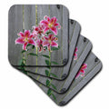 3dRose Danita Delimont - Flower - Stargazer Lily by Rustic Fence - Coasters (cst_228229)