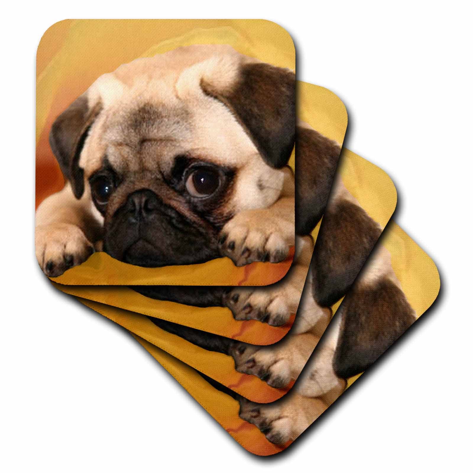 3dRose Dogs Pug - Pug - Coasters (CST_3644)