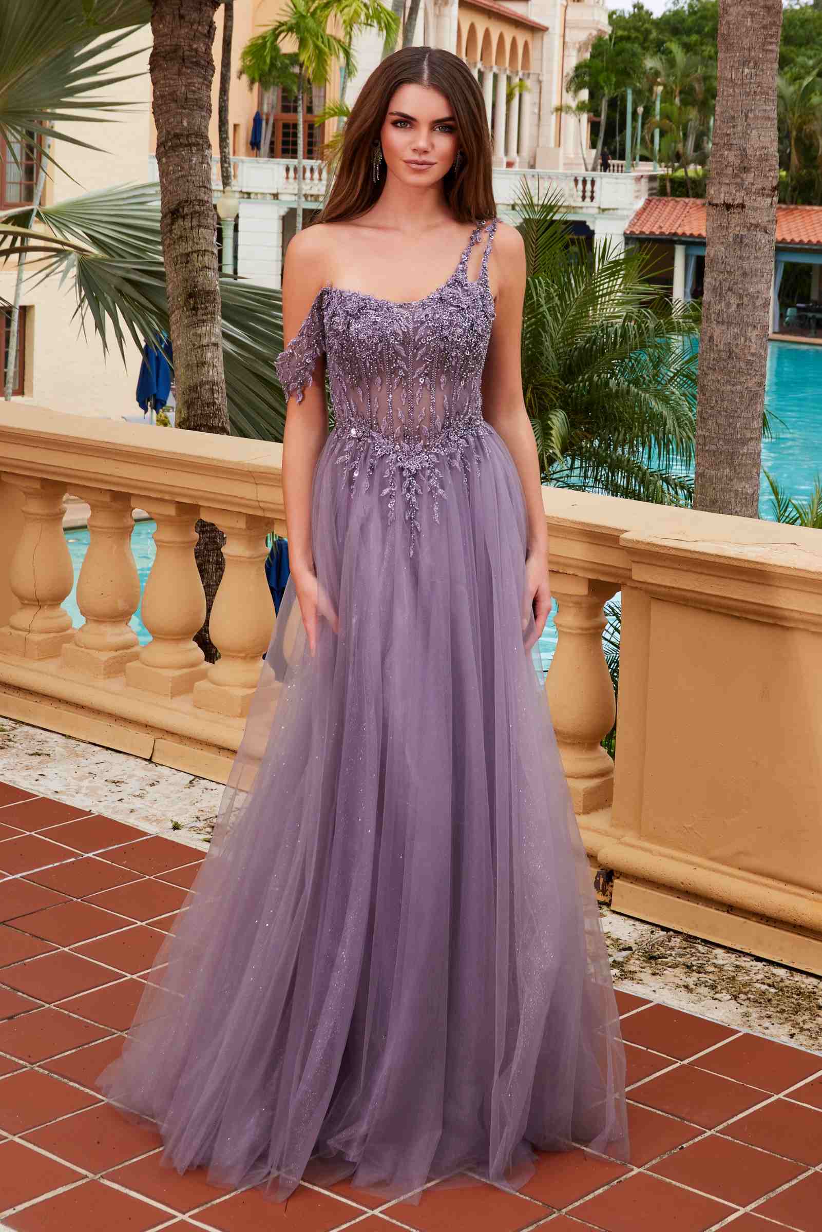 Embroidered A-line sheer dress with boned waistline, English violet sparkle bodice, full front