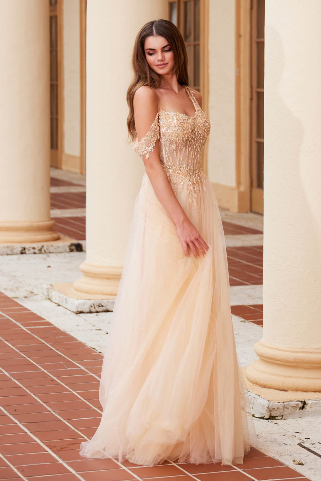 Embroidered A-line sheer dress with boned waistline, gold sparkle bodice, side view