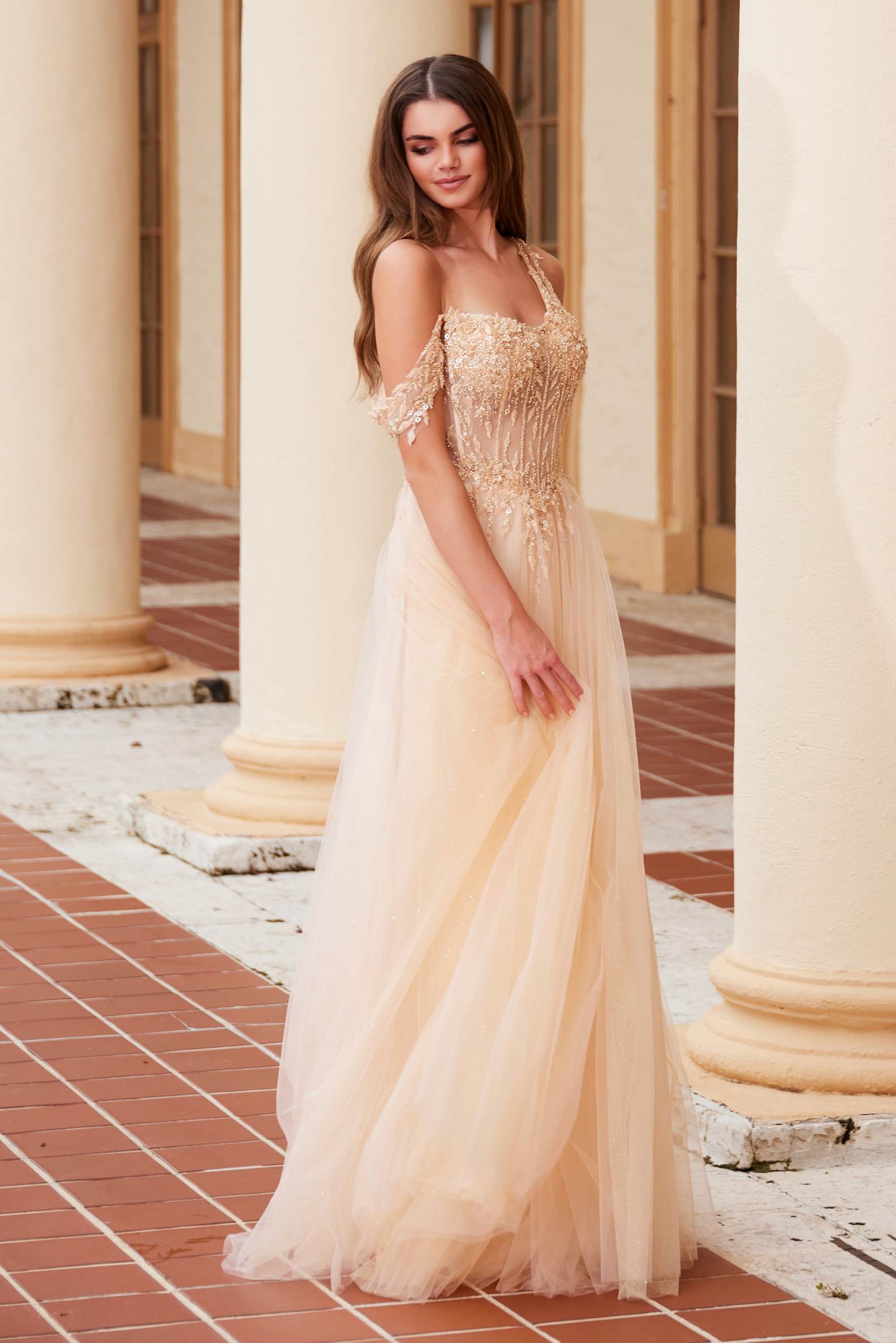 Embroidered A-line sheer dress with boned waistline, gold sparkle bodice, side view