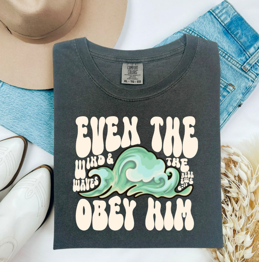 Even the heavens obey him Hebrews Comfort Colors Tshirt