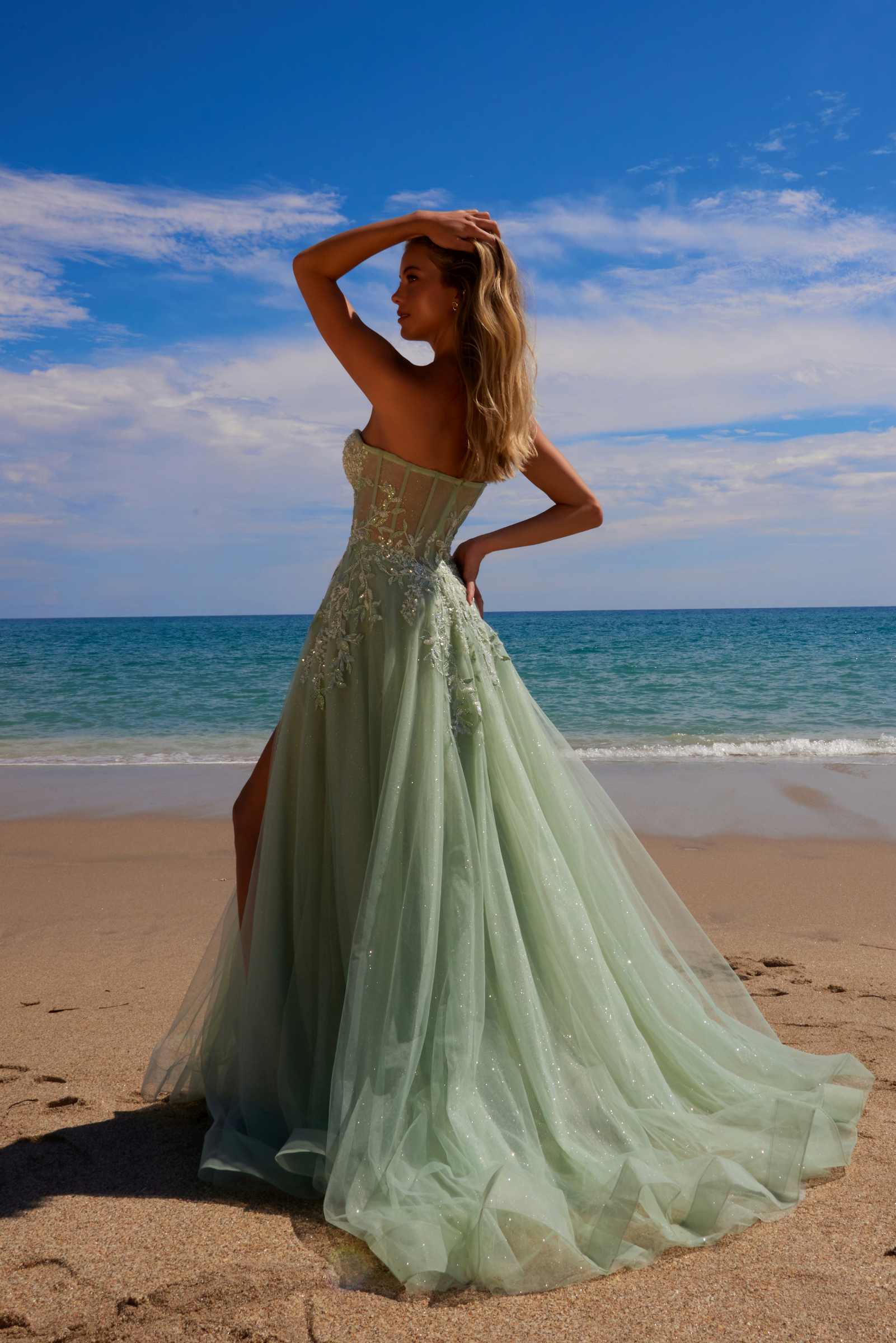 Sage green A-line tulle dress with sweetheart neckline and sequin applique, back view