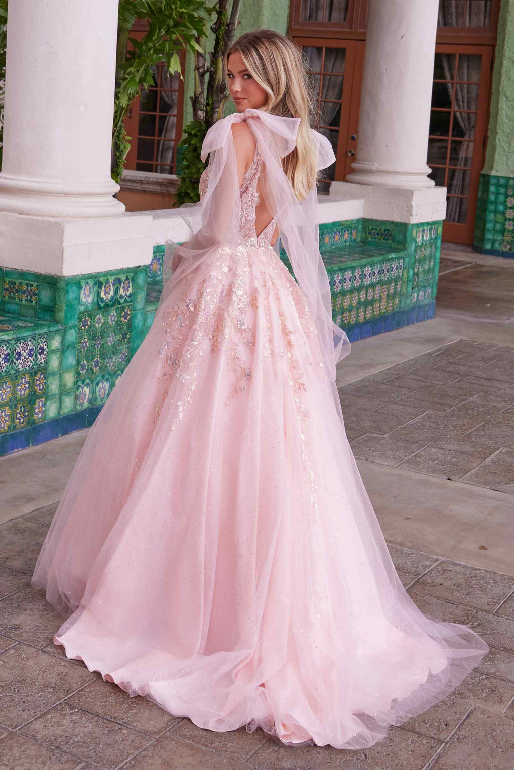 Blush tulle ballgown dress with sequined corset bodice and flutter tie-up sleeves