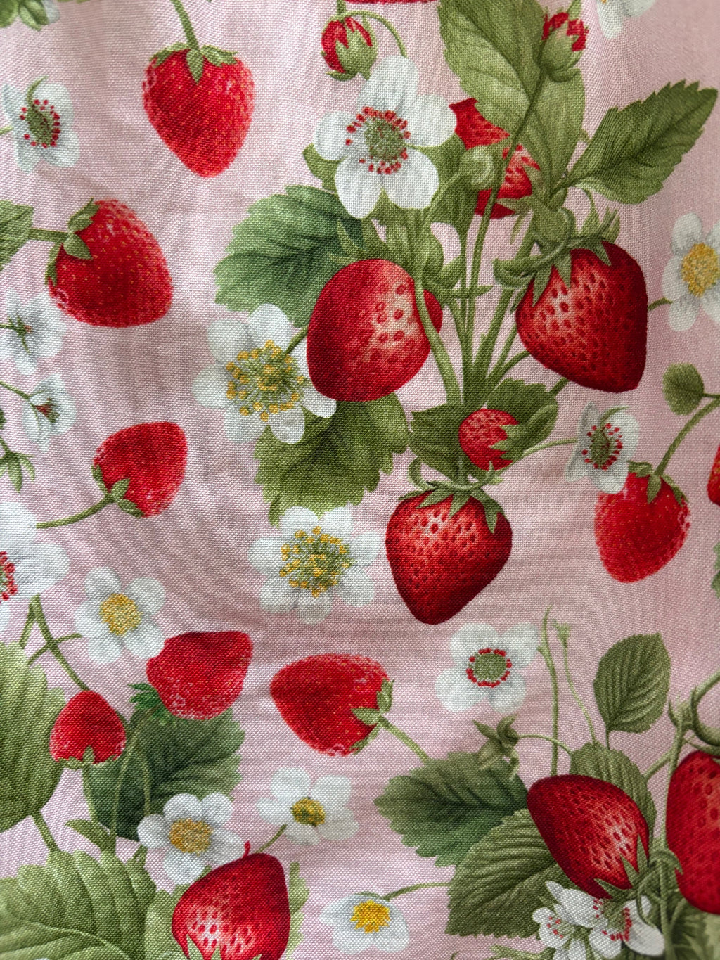 Strawberry Collared Dress - Plus Sizes only