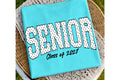 Senior Class of 2027 Graphic Tee