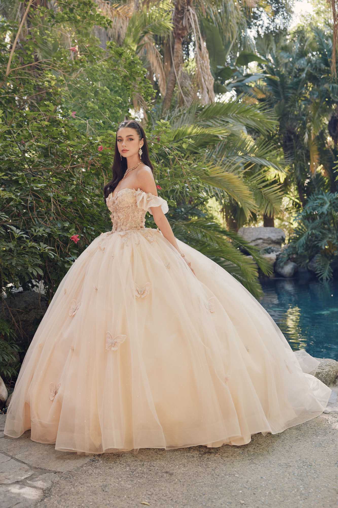 Champagne off-the-shoulder A-line ball gown with lace bodice and full tulle skirt