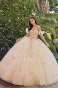 Champagne off-shoulder A-line ball gown with embroidered bodice and voluminous tulle skirt