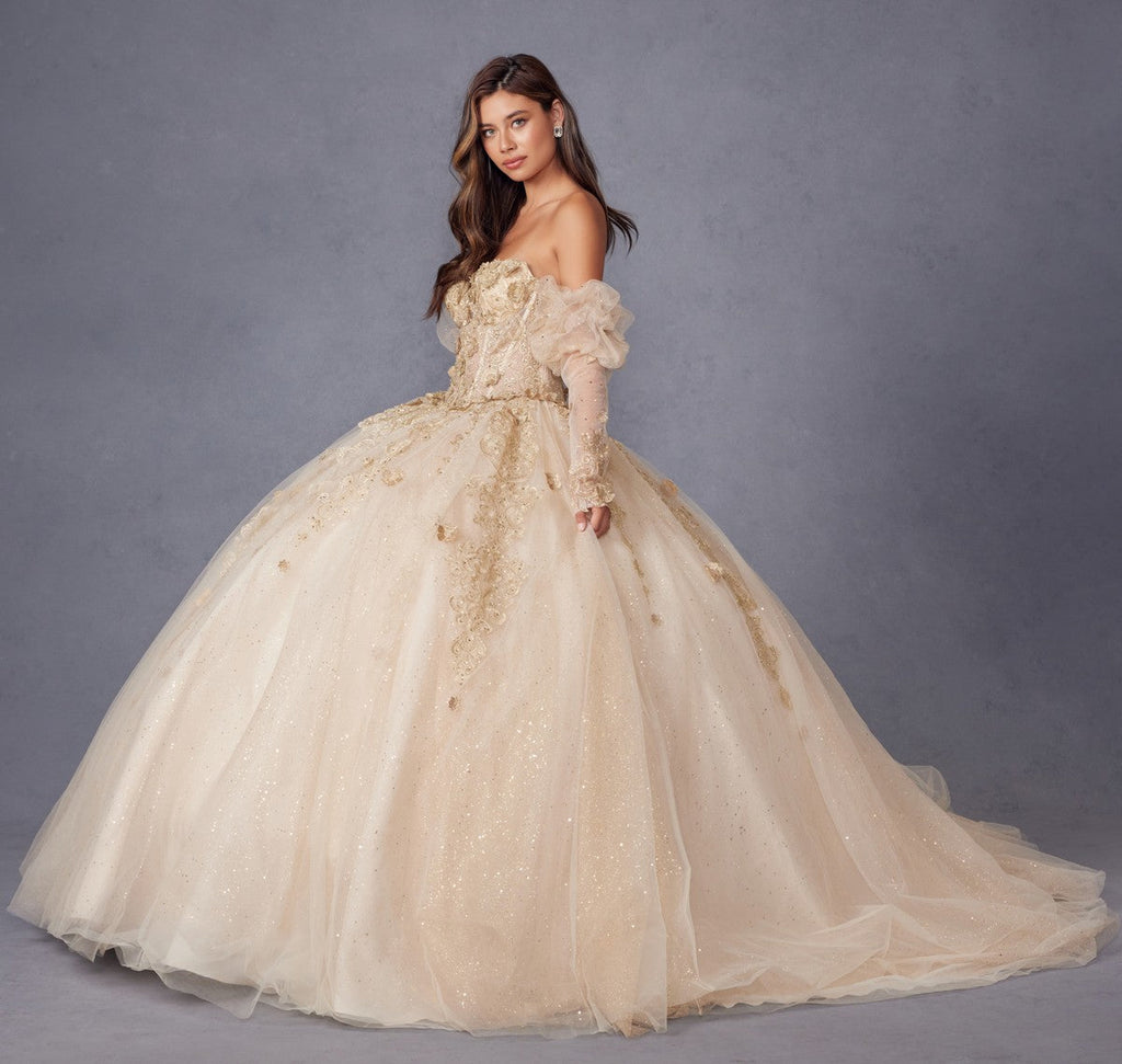 Champagne ballgown dress with 3D floral appliques, puff sleeves and full tulle skirt