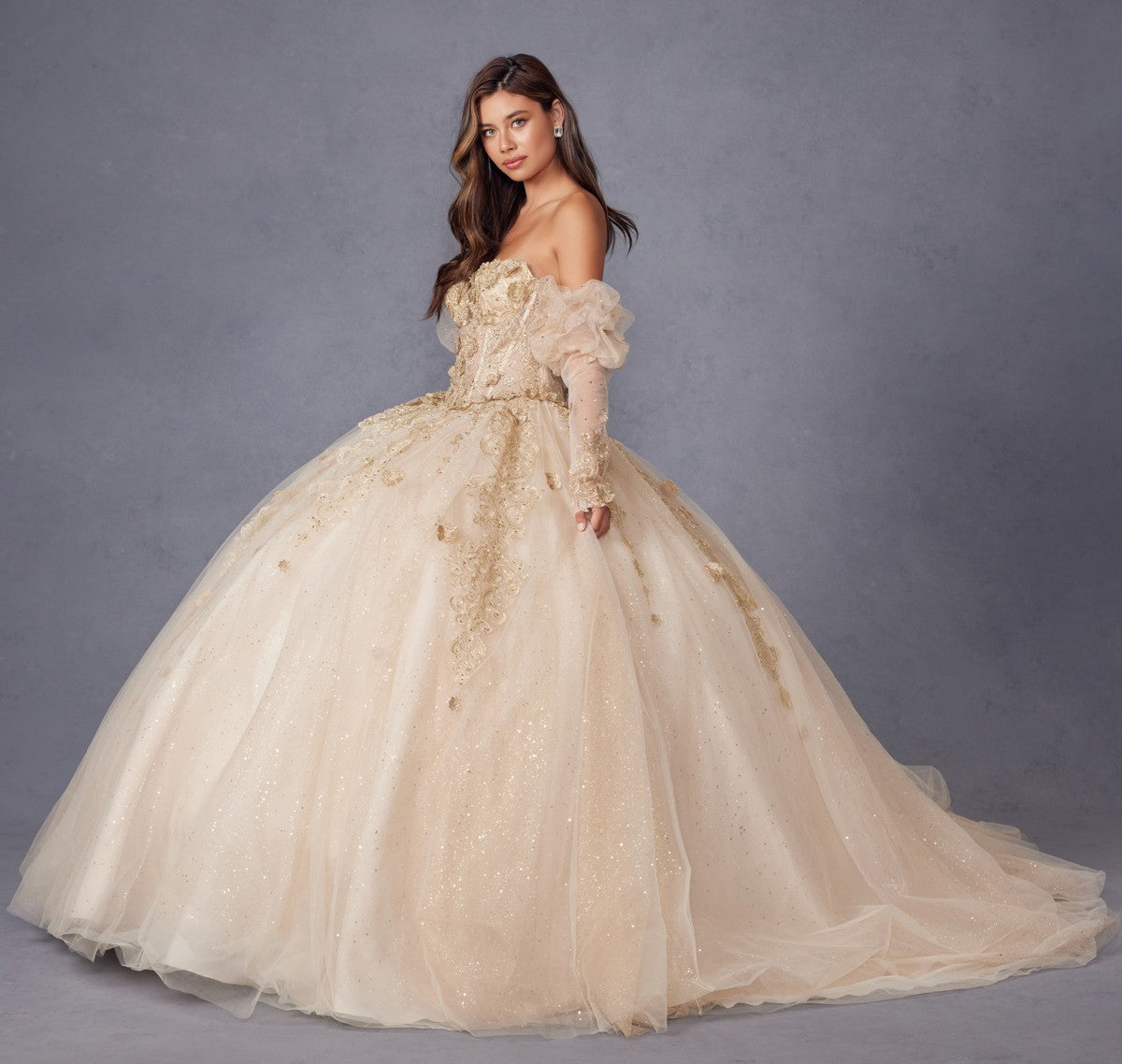 Champagne ballgown dress with 3D floral appliques, puff sleeves and full tulle skirt