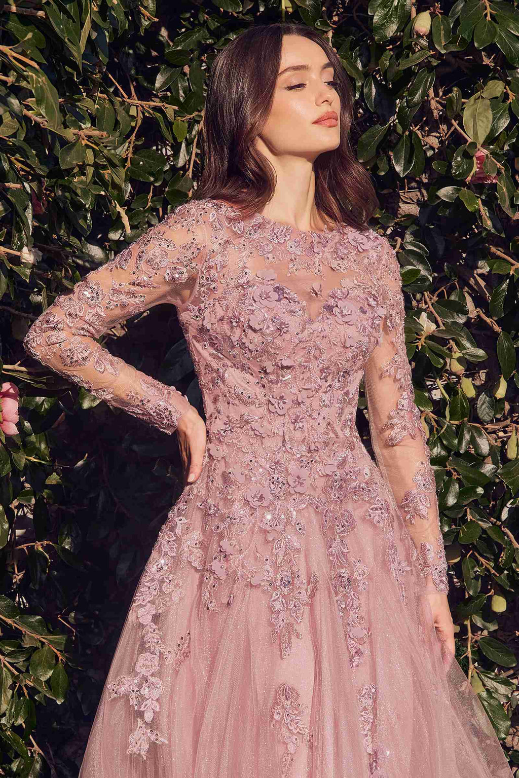 Dusty rose lace tulle gown close-up: embellished neckline and long sleeves