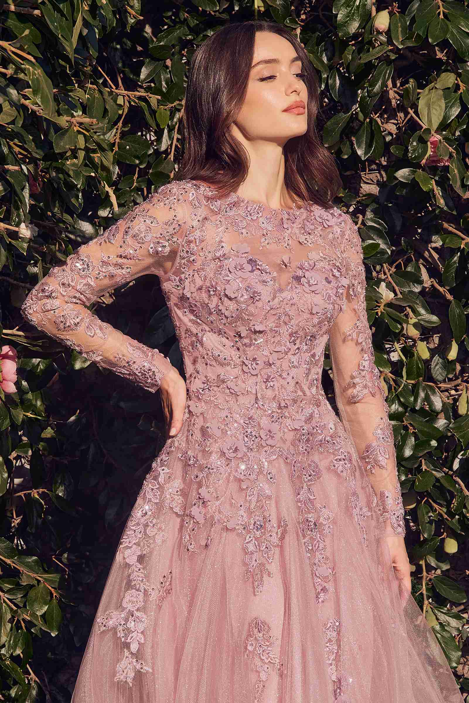 Dusty rose lace tulle gown close-up: embellished neckline and long sleeves