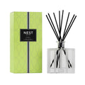 Bamboo reed diffuser set by Nest New York with clear bottle and black reeds, plus box