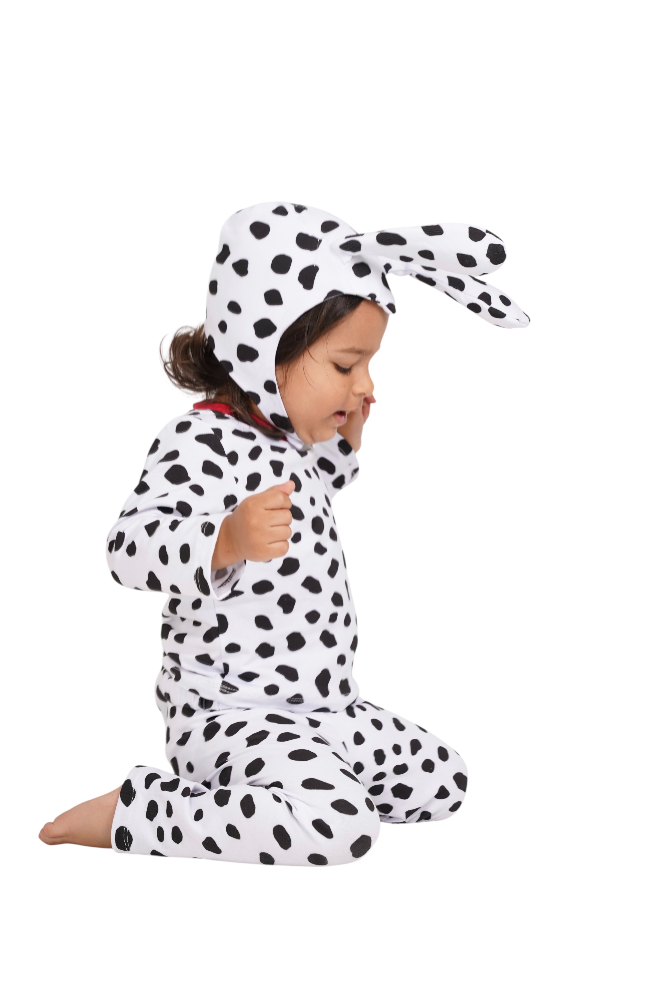 Dalmatian Costume
