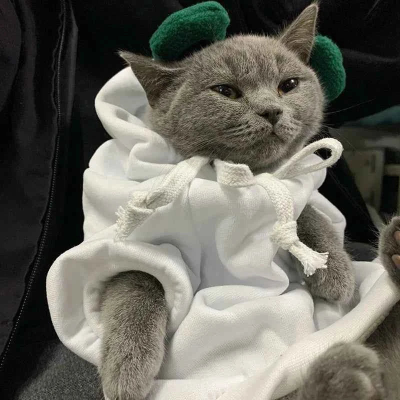 Cute Fruit Pet Hoodie Sweater – Warm Costume for Cats and Small Dogs
