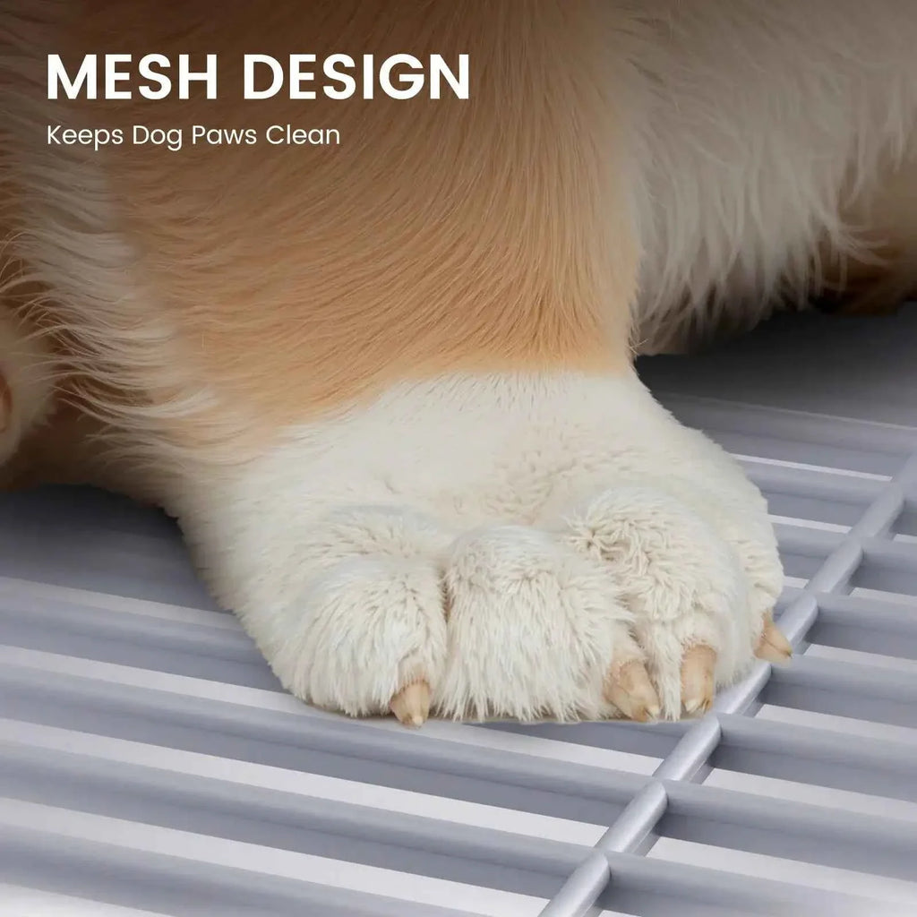 Indoor Dog Potty Training Tray – No Leak Design with High Protection Wall