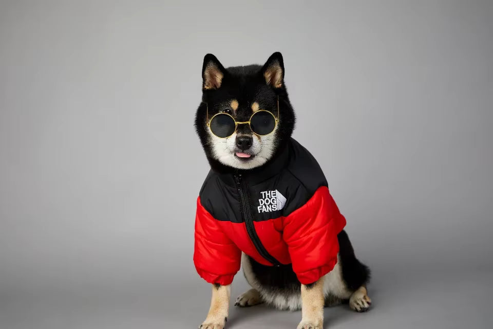 Winter Dog Down Jacket Vest – Warm Thick Coat for Small to Medium Dogs