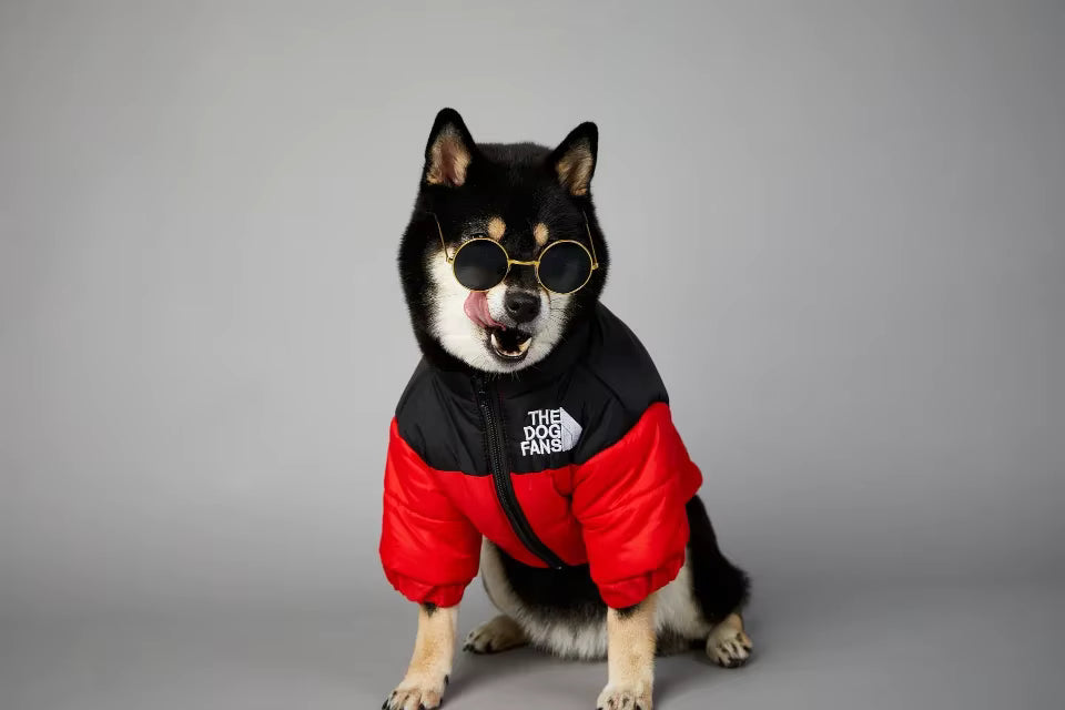 Winter Dog Down Jacket Vest – Warm Thick Coat for Small to Medium Dogs