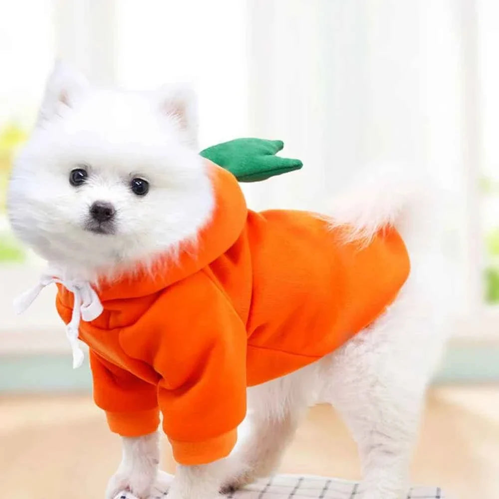 Cute Fruit Dog Hoodie – Warm Fleece Pet Jacket for Small Dogs